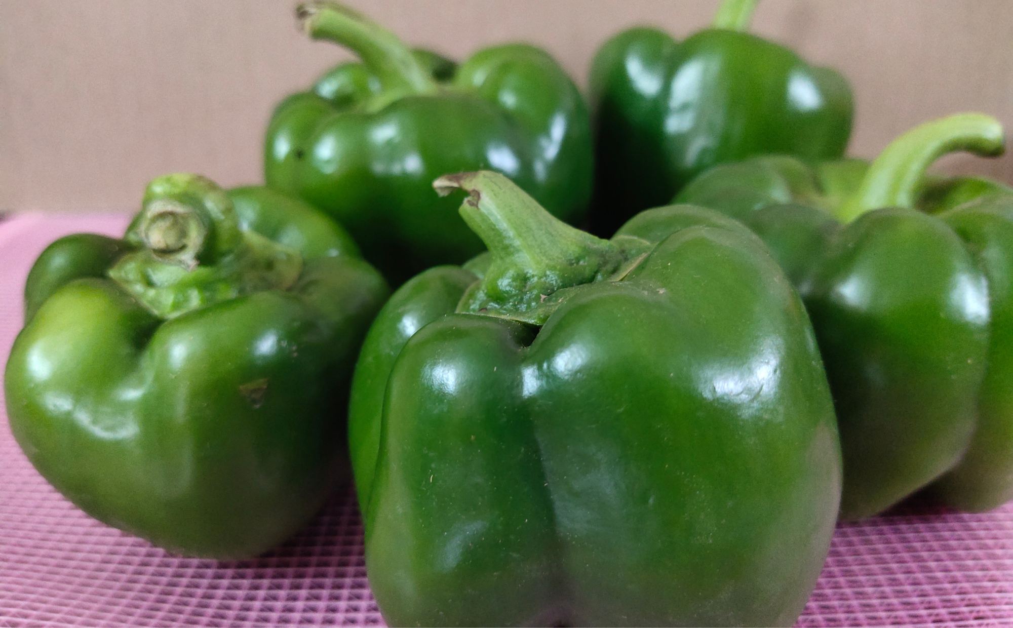Capsicum