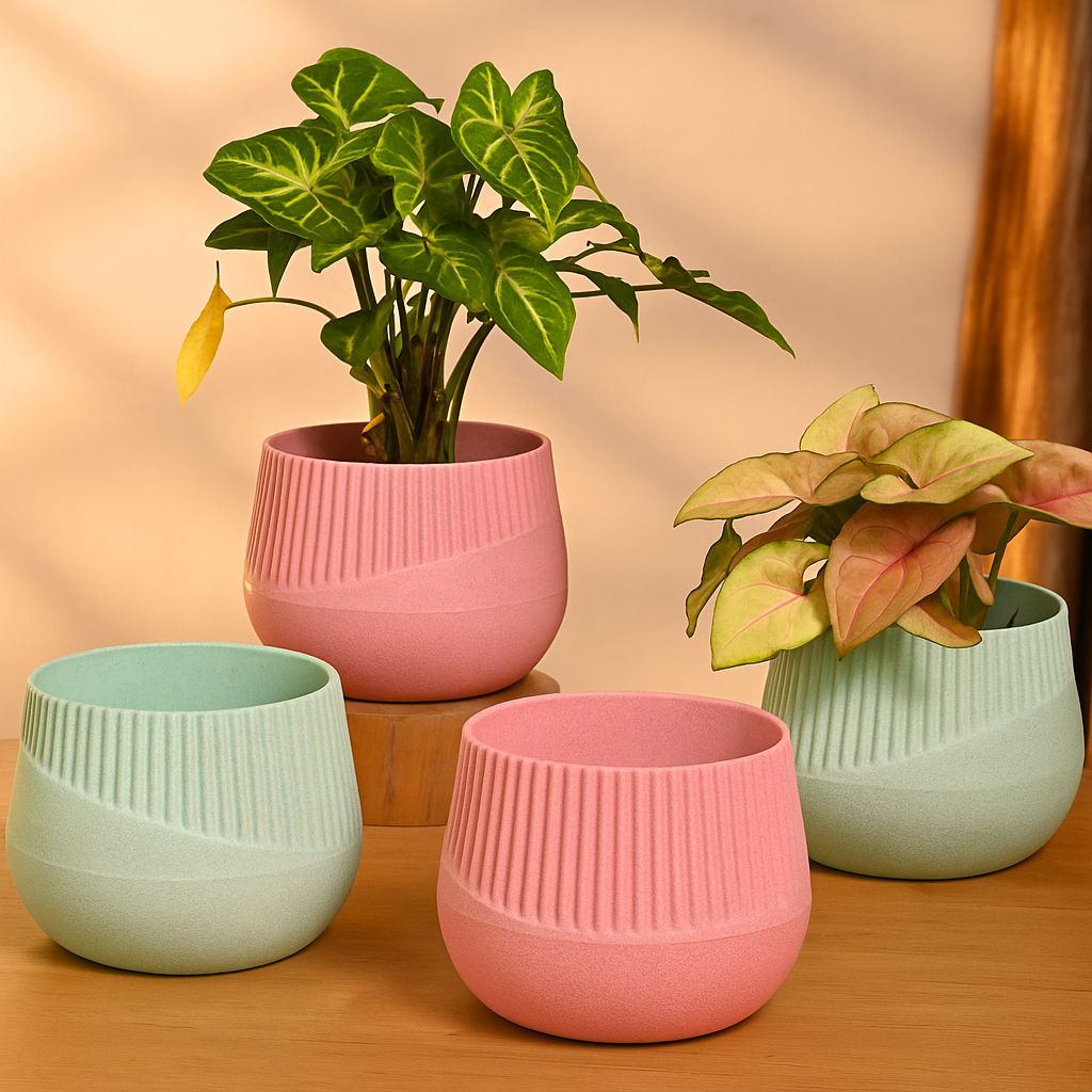 Ceramic Pots & Planters