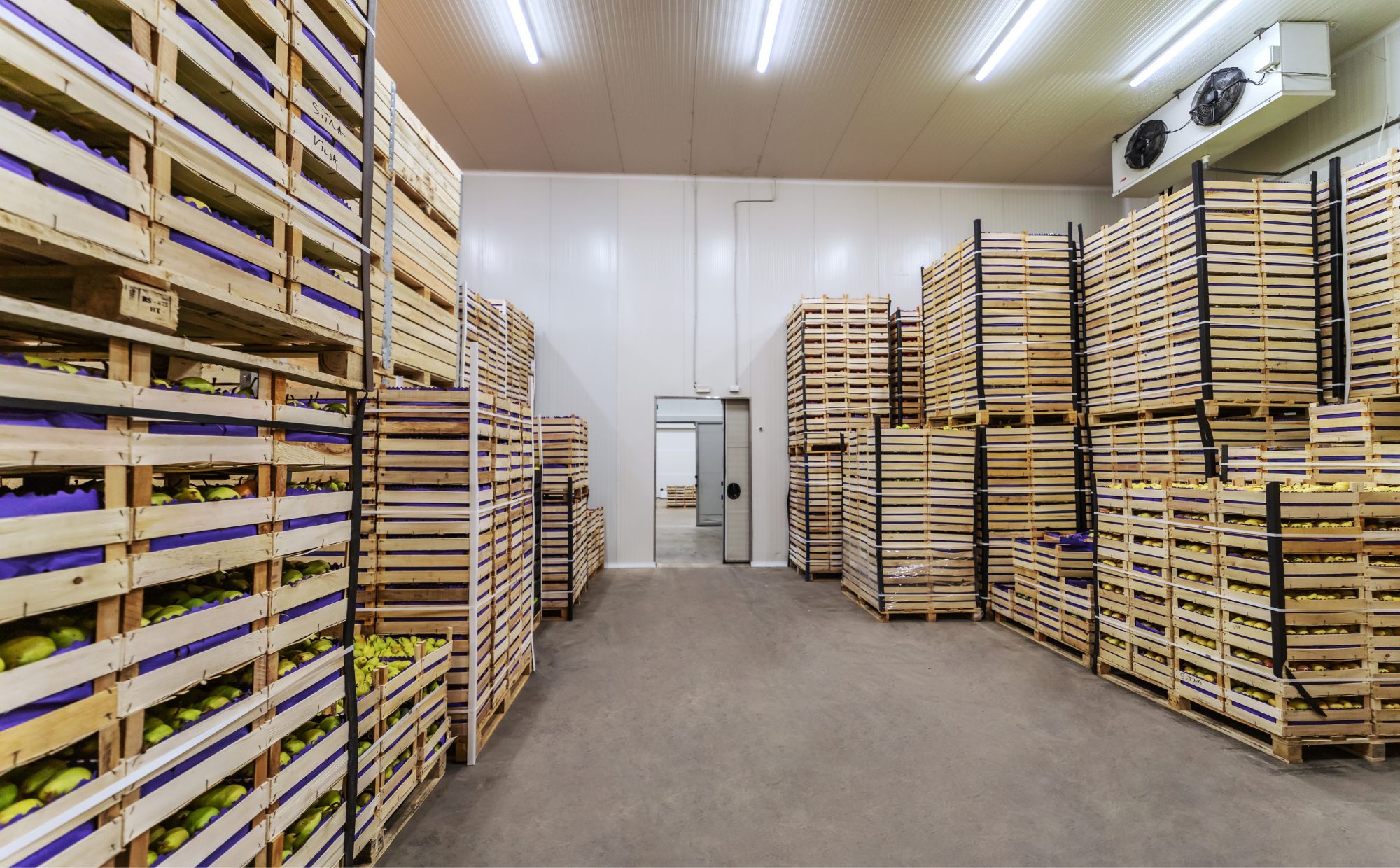 Temperature Controlled Storage