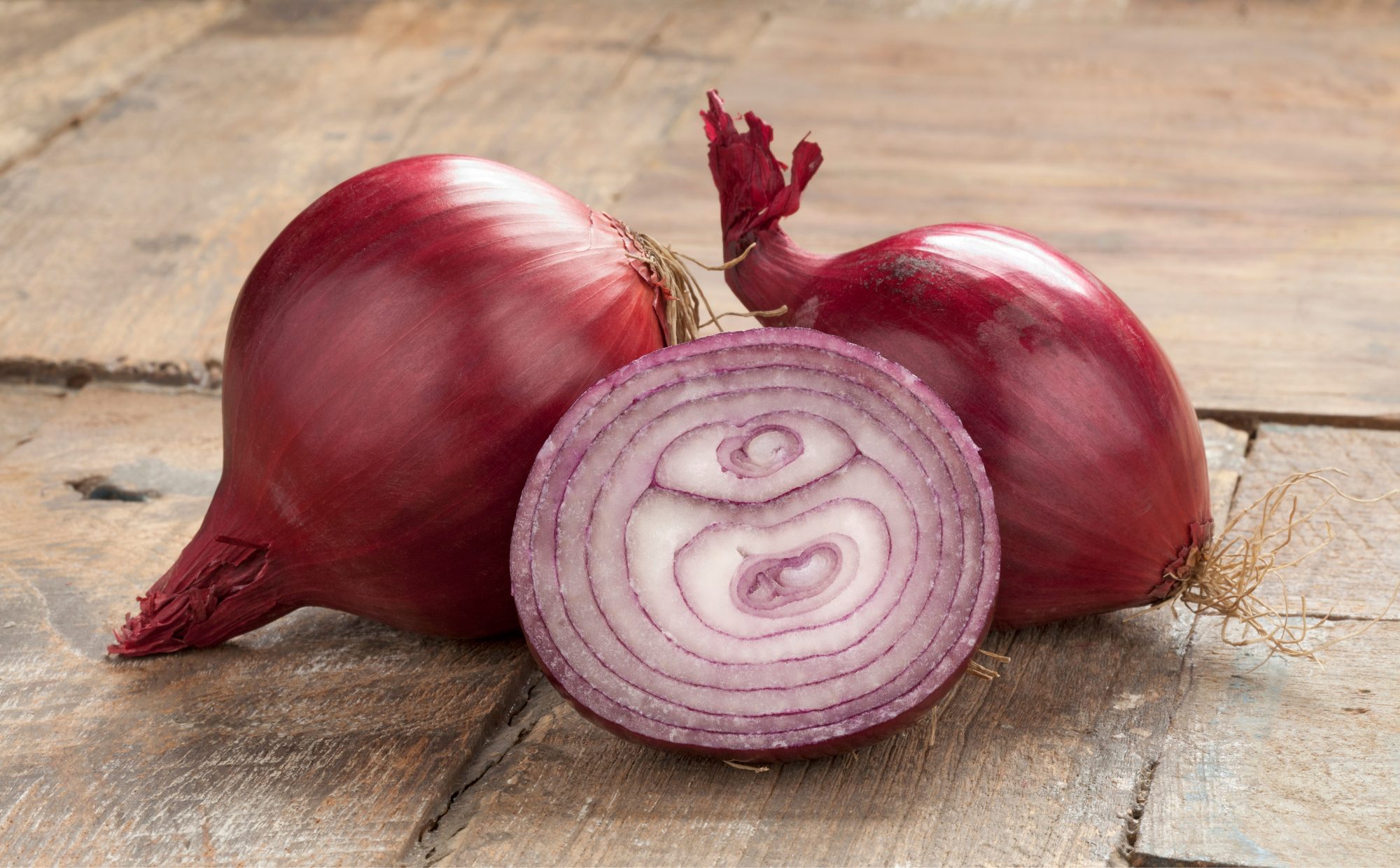 Onion