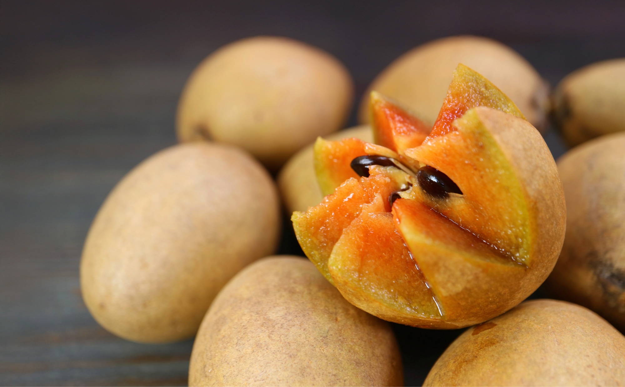 Sapodilla