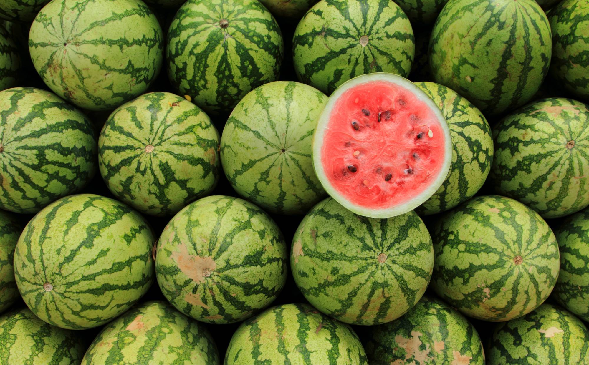Watermelon